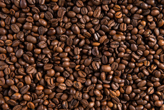 a lot of coffee beans