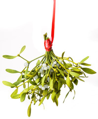 mistletoe isolated on a white background © Vera Kuttelvaserova