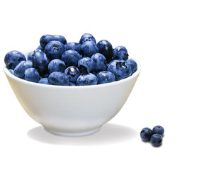 Blueberries case