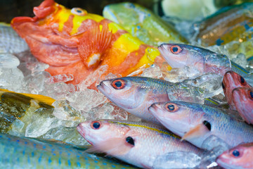 Freshly caught Japanese tropical fish at market