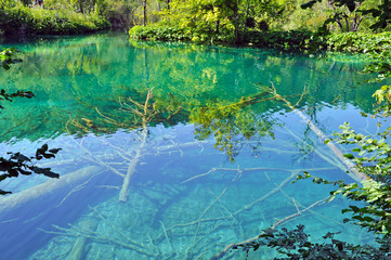 Turquoise lake in Plitvice, Croatia