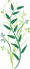 Fototapeta na wymiar Spring floral frame, plant and leaves.