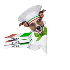 Papier Peint photo Chien fou pizza delivery dog
