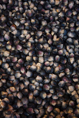 Black corn seeds background Chichicastenango market Guatemala