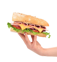 French baguette fresh sandwich in hand.