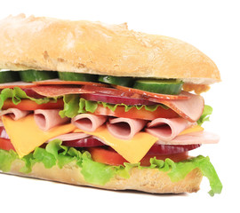 Fresh big sandwich close up.
