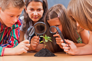 Teacher and pupils in biology class