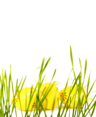 Ostereier mit Gras auf weiss