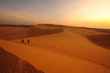 Sand Dune in Desert Landscape at Sunrise