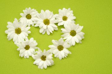 Fresh flower heart on a green background with copy space