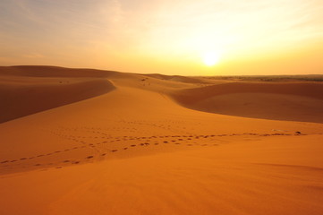 Fototapeta na wymiar Dune piasku w pustynnym krajobrazu na wschód słońca