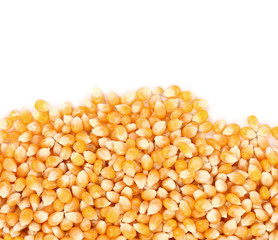 Closeup of corn grains.