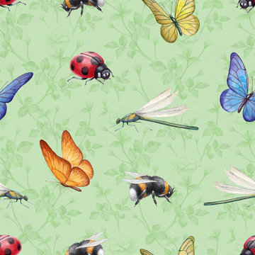 Watercolor insects illustrations. Seamless pattern