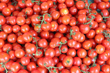 lot of ripe tomato