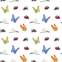 Watercolor insects illustrations