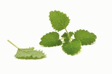 melissa © robert6666