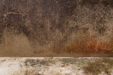 Hintergrund Wand mit Flechten in dunklen Farben