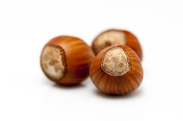 Obraz premium Hazelnuts