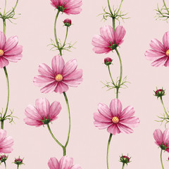Cosmos flowers illustration. Watercolor seamless pattern