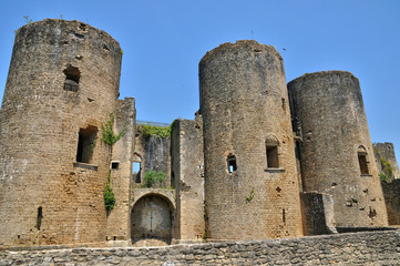 Fototapeta na wymiar picturesque castle of Villandraut in Gironde