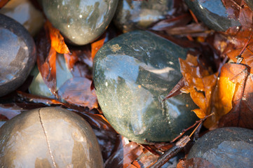 water flowing over rocks and leaves