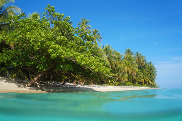 Caribbean beach and sea surface