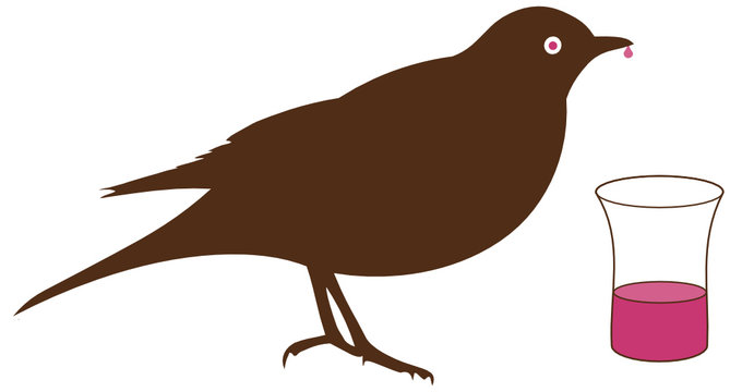 Schnapsdrossel-Bilder: Stock-Fotos &amp; -Videos. | Adobe Stock