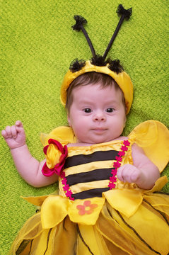 Honey Bee Baby on green background