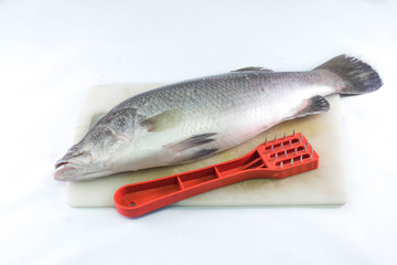 Sea nass with fish scaler on cutting board.