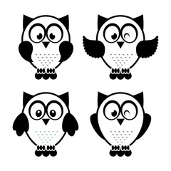 owl design