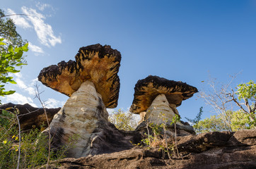 Sao Chaliang is mushroom-like rocks in Thailand