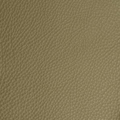 leather macro shot