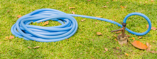 rubber tube water on  green grass