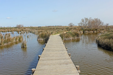 Naklejka premium Passage des marais