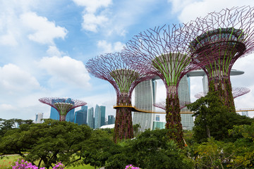 Naklejka premium Ogród nad zatoką, Singapur
