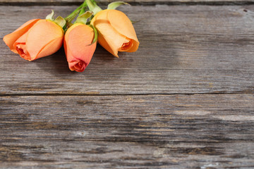roses on wooden background