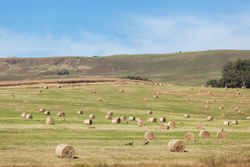 Farming Landscape Mountains  Grass Bales
