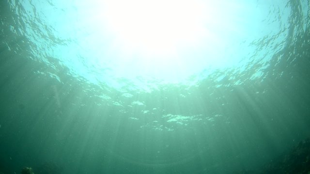 underwater sunburst 