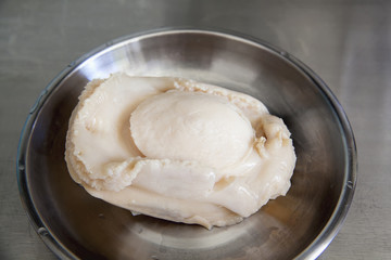 Large Head Canned Abalone