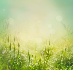 Spring background