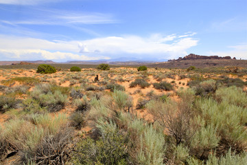 arch national park, Arizona