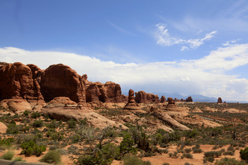 Fototapeta premium parade of Elephant, Arch national park, Arizona