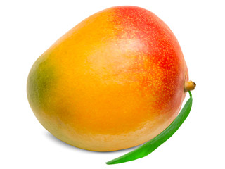Mango fruit