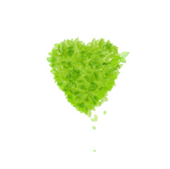 grüne Blätter Herz
