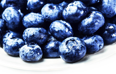 Blueberries on white plate isolated on white background with cop