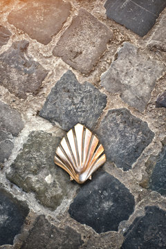 Santiago shell (Pilgrims shell), St James shell in Brussels, Bel