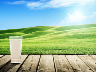 milk and sunny spring field