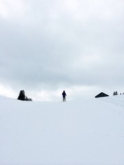 Distant skier
