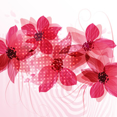 Fototapeta premium red flowers