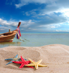 Fototapeta na wymiar starfish on the beach in Thailand